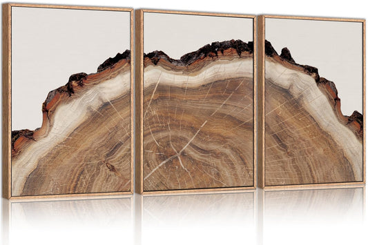 HPINUB Framed Tree Rings Wood Wall Art Set, Modern Beige Wood Stump Wall Deco...